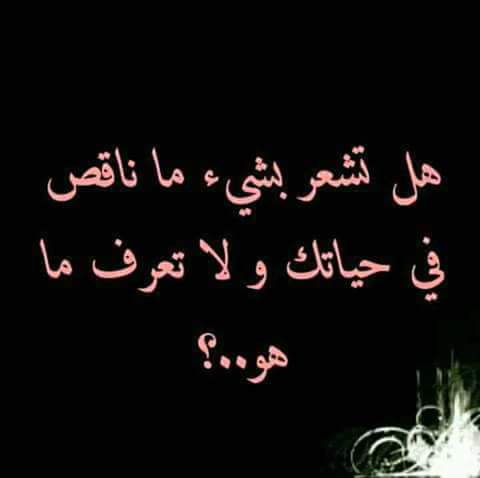 bntpal.com_152730845