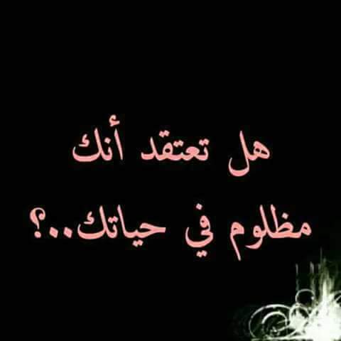 bntpal.com_152730845