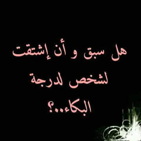 bntpal.com_152730845