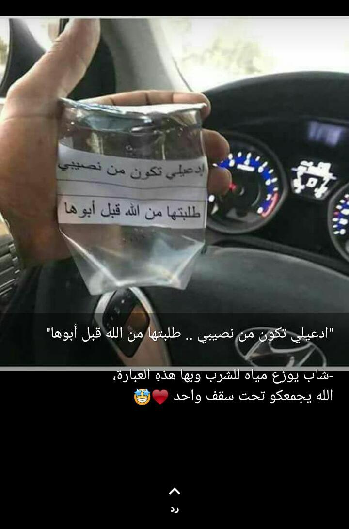  bntpal.com_152733799