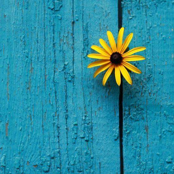  💛🌻 bntpal.com_152734399