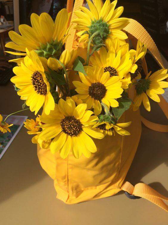  💛🌻 bntpal.com_152734399