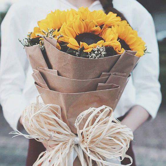  💛🌻 bntpal.com_152734399