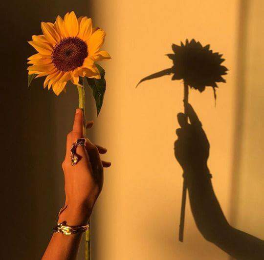  💛🌻 bntpal.com_152734399