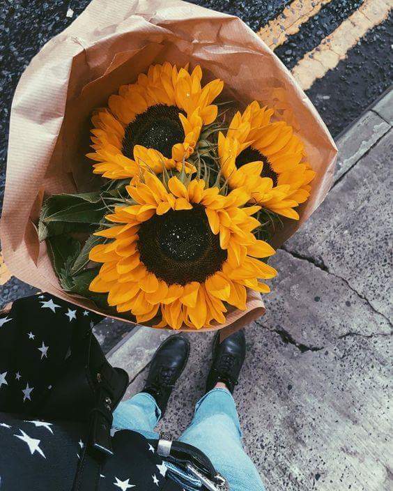  💛🌻 bntpal.com_152734399