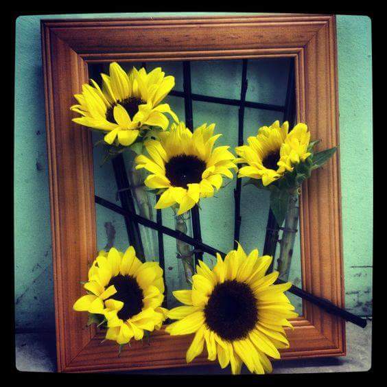  💛🌻 bntpal.com_152734399