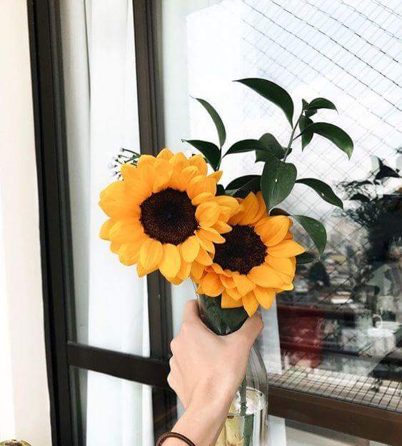  💛🌻 bntpal.com_152734399