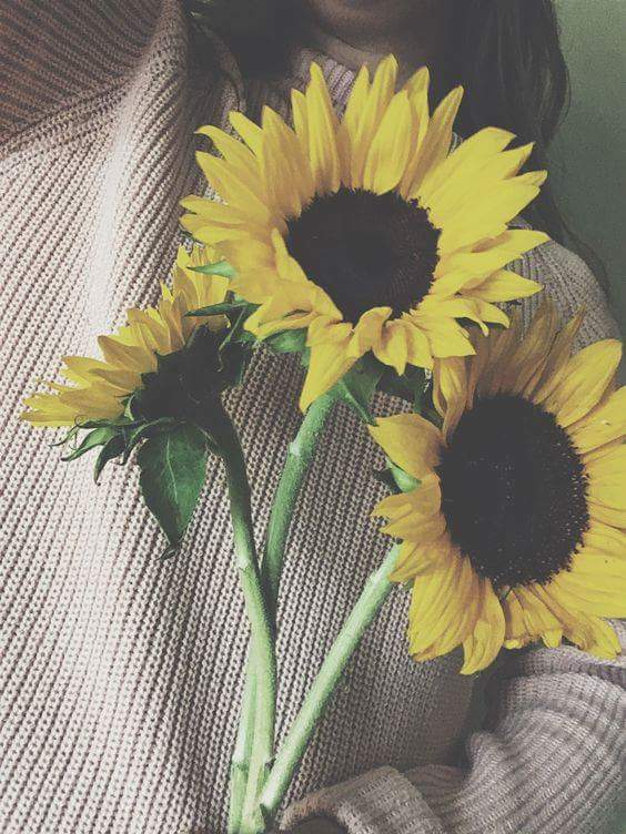  💛🌻 bntpal.com_152734399