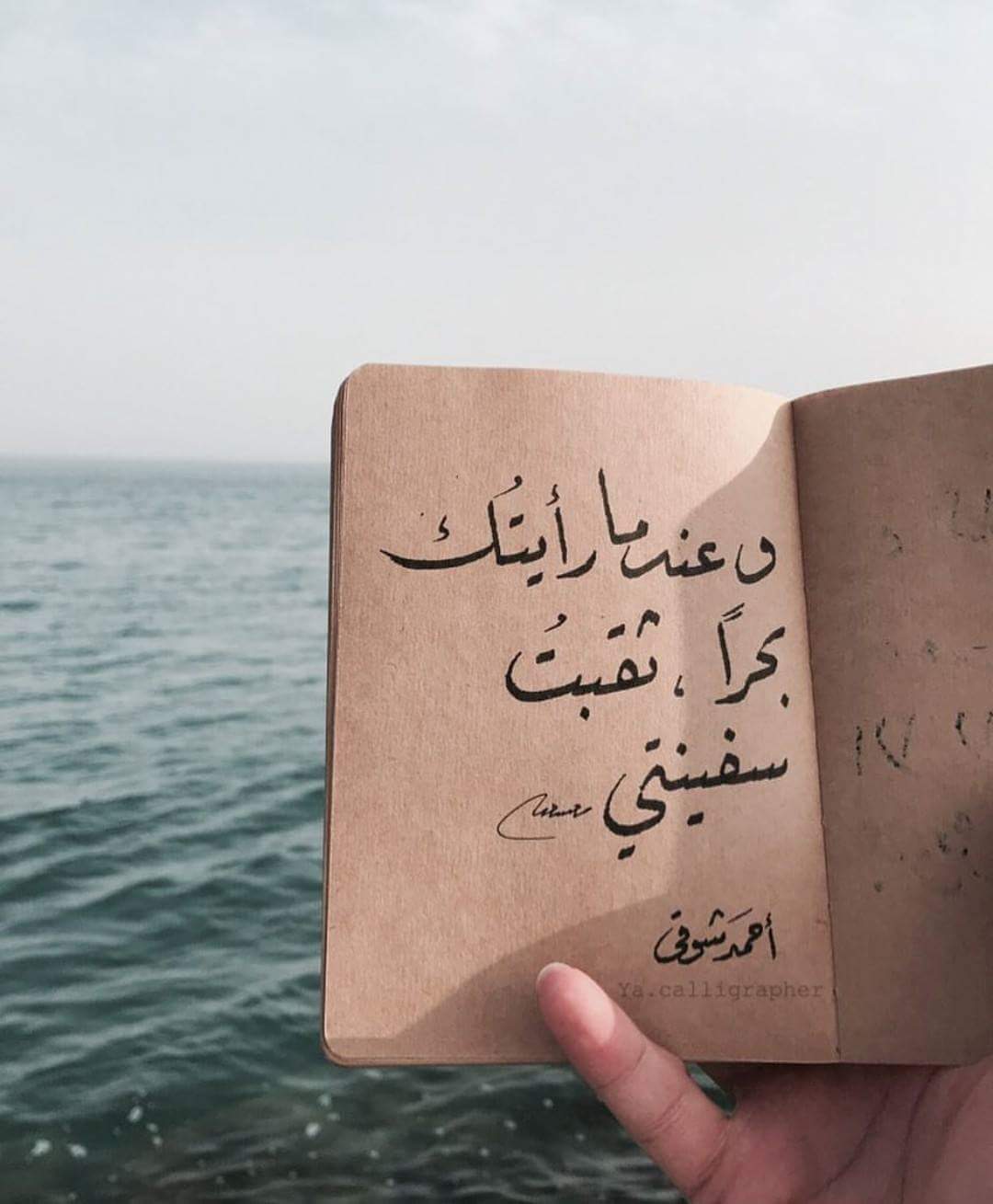 ♥🌸 bntpal.com_152734511
