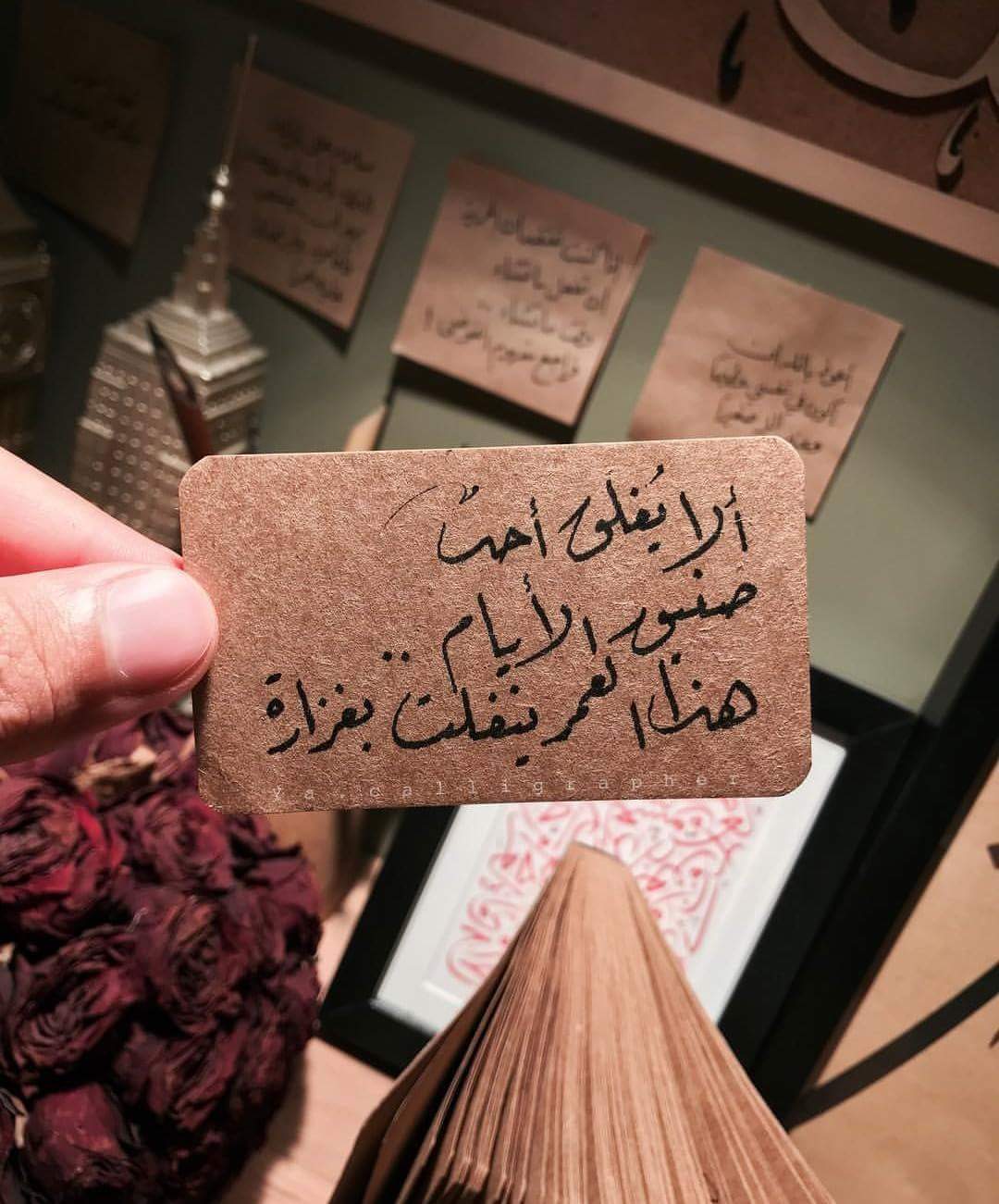 ♥🌸 bntpal.com_152734511