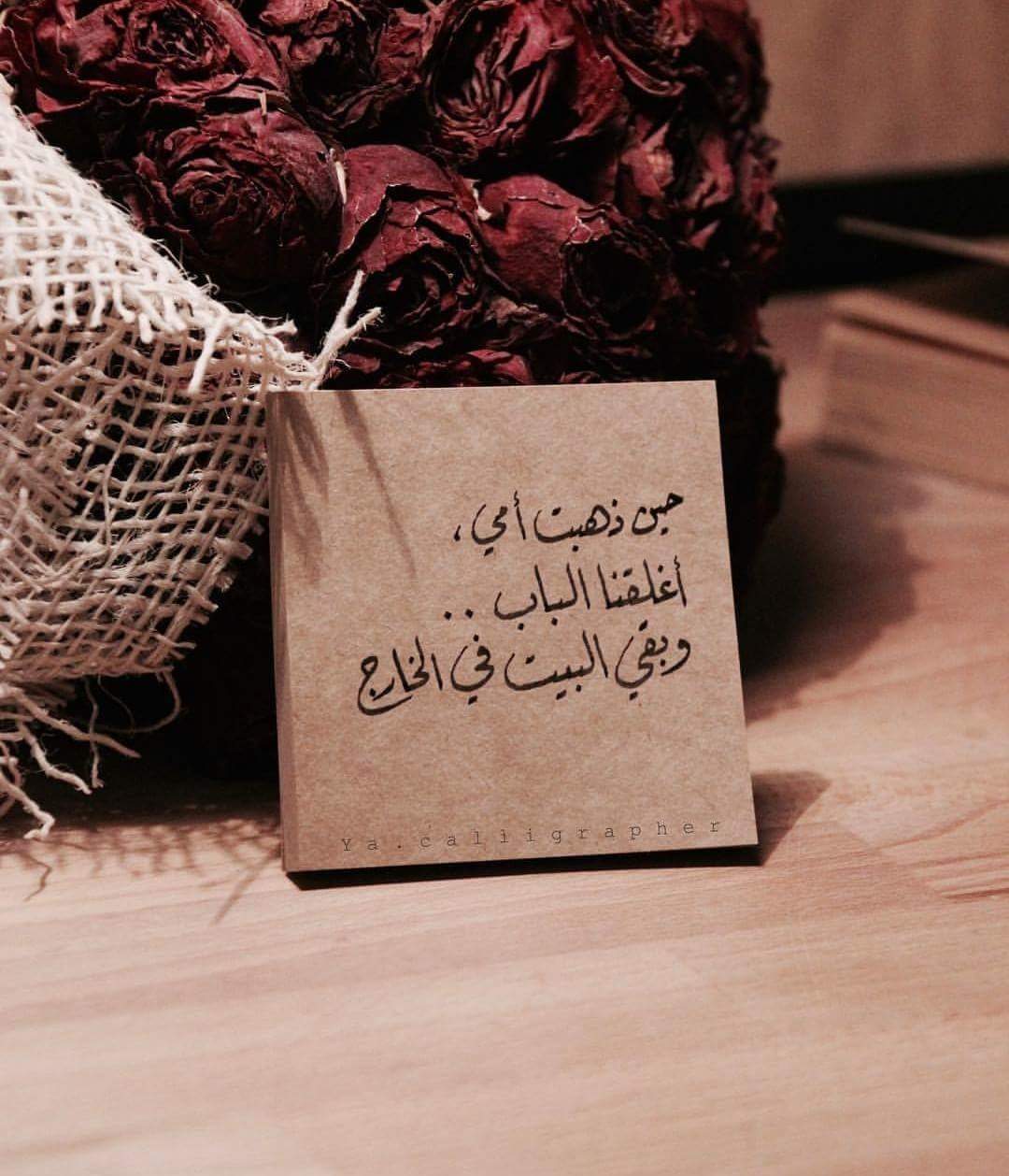 ♥🌸 bntpal.com_152734511