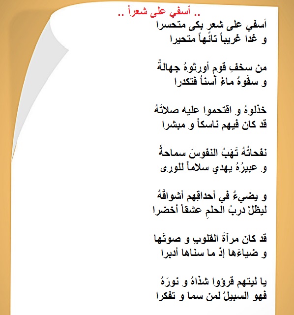 bntpal.com_152735973