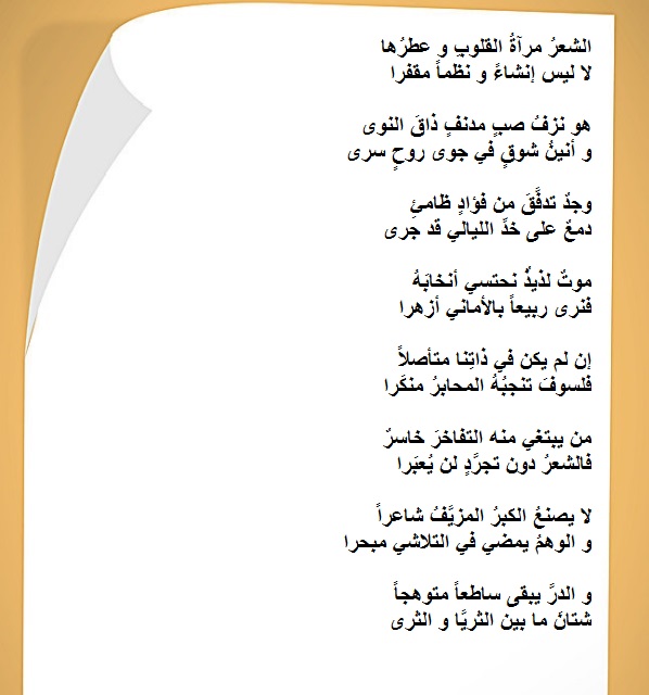 bntpal.com_152735973