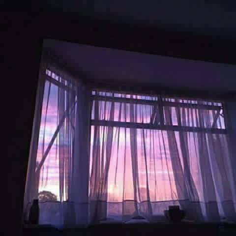 ♥ bntpal.com_152787863