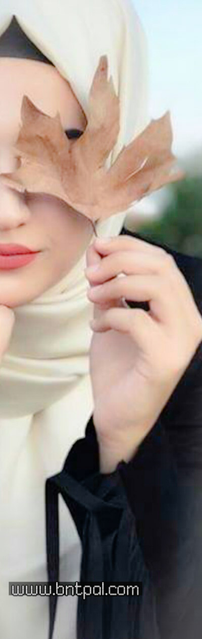 💛☇ bntpal.com_152796676