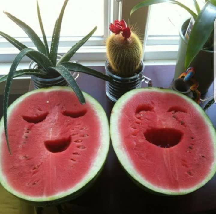 ♥ bntpal.com_152813993