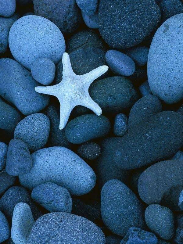 💙 bntpal.com_152828882