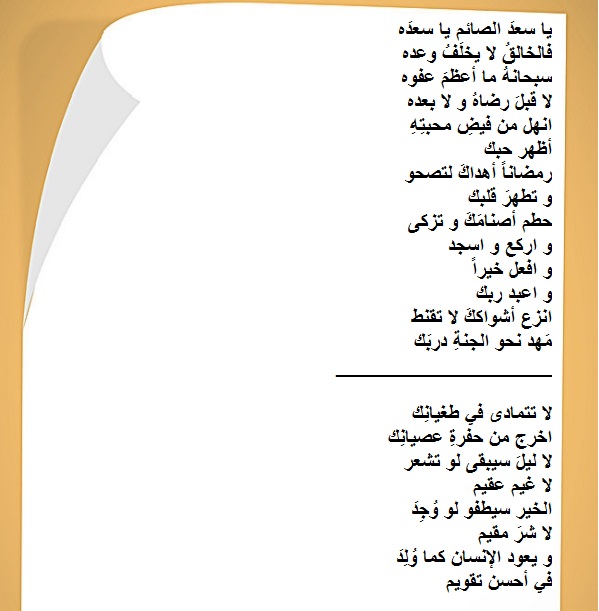 bntpal.com_152875205