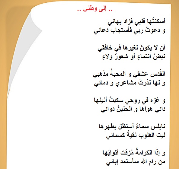 bntpal.com_152893388