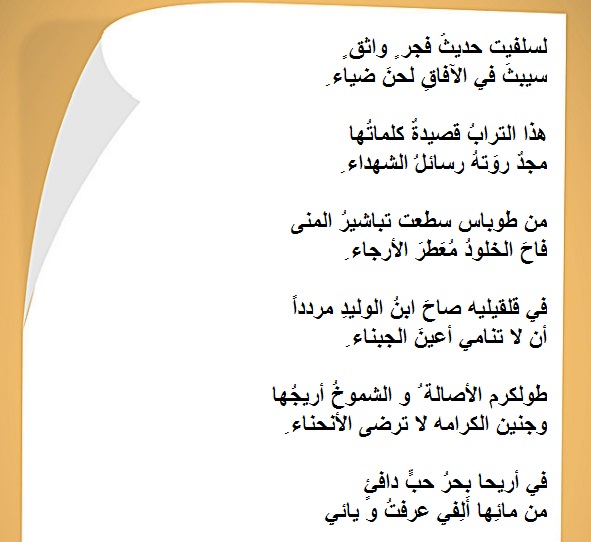 bntpal.com_152893388