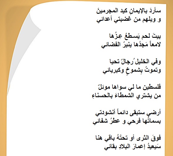 bntpal.com_152893388