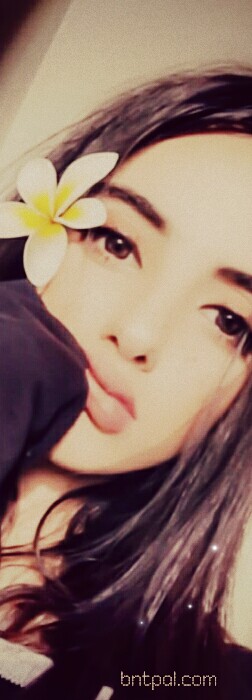  🖤 bntpal.com_152969343