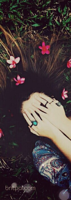  🖤 bntpal.com_152969343