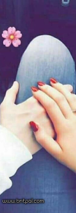 bntpal.com_153027454