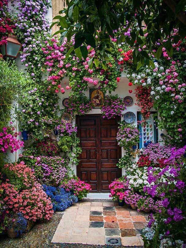 💛🌸 ' bntpal.com_153038172