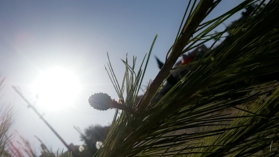 ....♥♥ bntpal.com_153090775