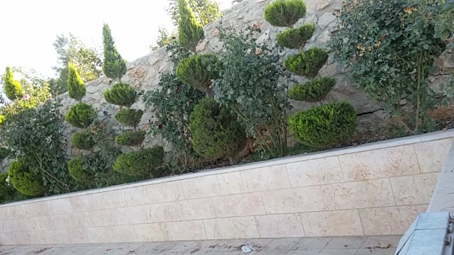 ....♥♥ bntpal.com_153090782
