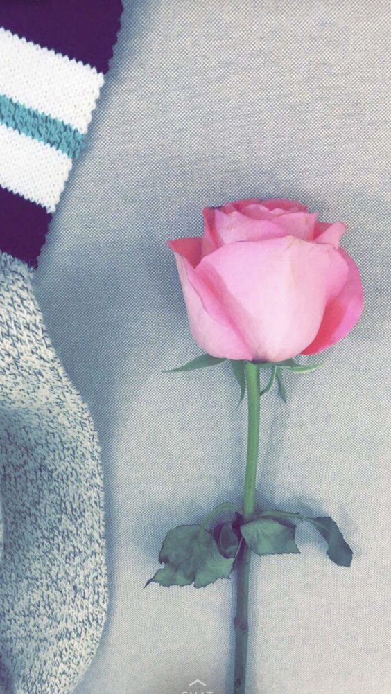 ���� ���� ������ �� ���� ������