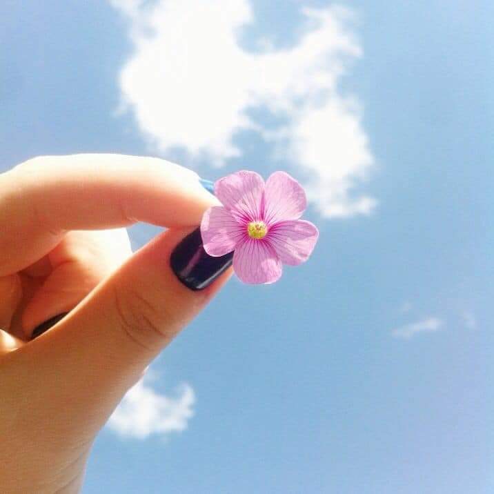 🍂 bntpal.com_153167871