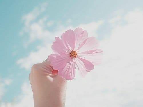  🍂 bntpal.com_153167871