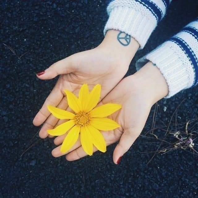  🍂 bntpal.com_153167871