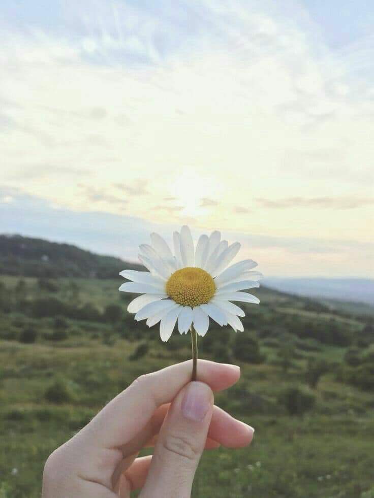  🍂 bntpal.com_153167871