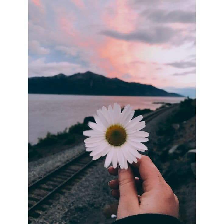  🍂 bntpal.com_153167871