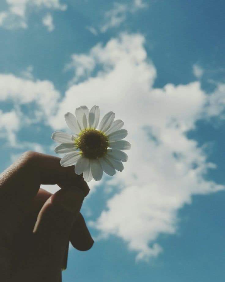  🍂 bntpal.com_153167871