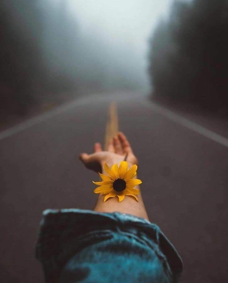  🍂 bntpal.com_153167871