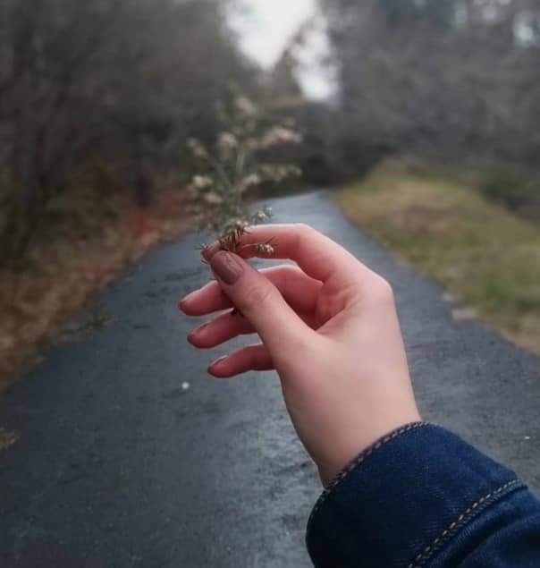  🍂 bntpal.com_153167871