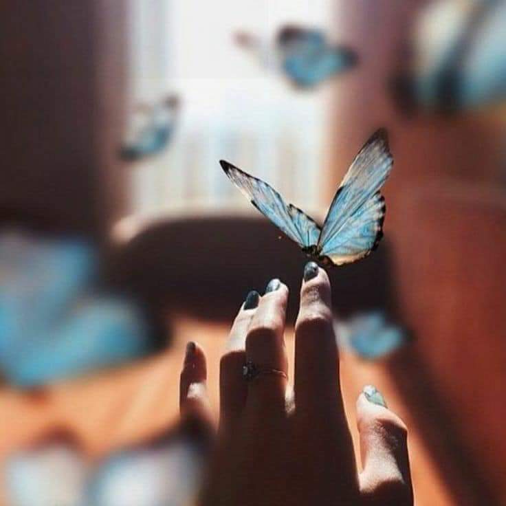  🍂 bntpal.com_153167871
