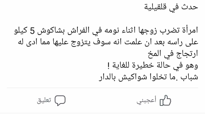 bntpal.com_153206902