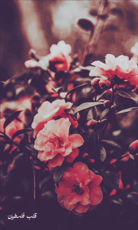 ���� ���� ������ �� ���� ������