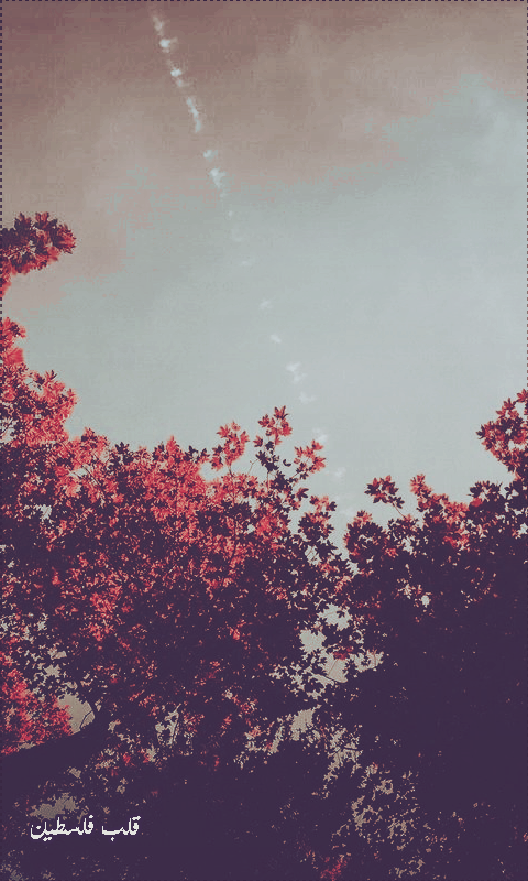 ���� ���� ������ �� ���� ������