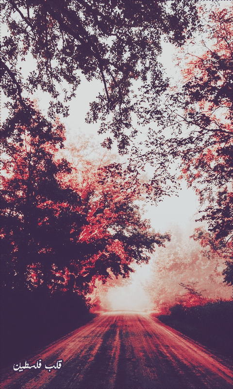 ���� ���� ������ �� ���� ������