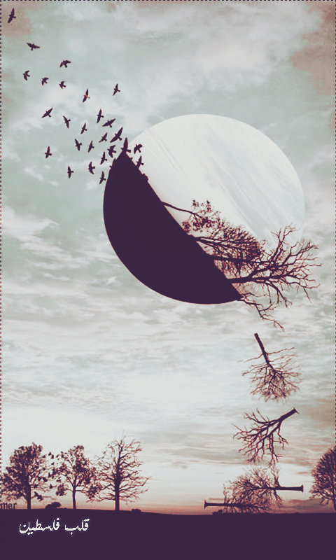 ���� ���� ������ �� ���� ������