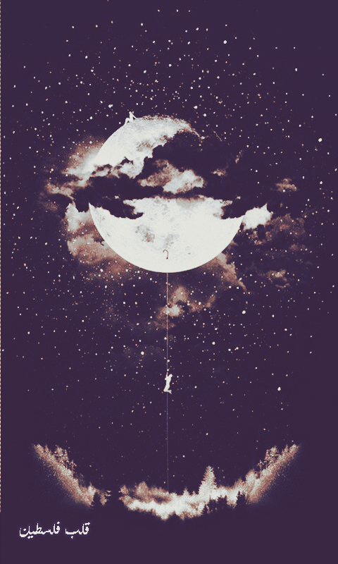 ���� ���� ������ �� ���� ������