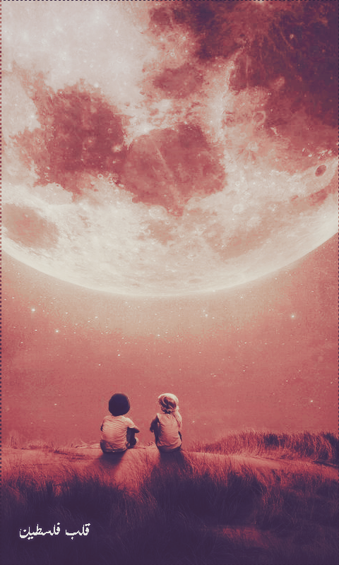 ���� ���� ������ �� ���� ������