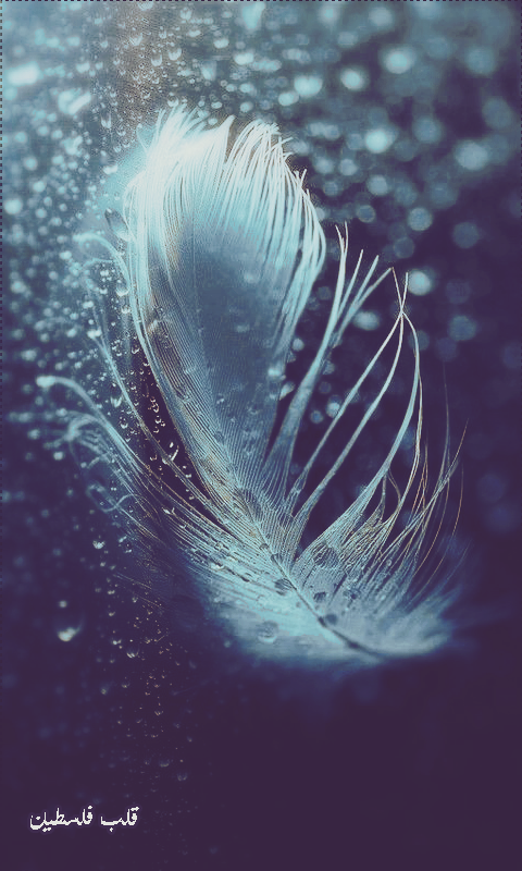 ���� ���� ������ �� ���� ������