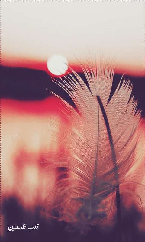 ���� ���� ������ �� ���� ������